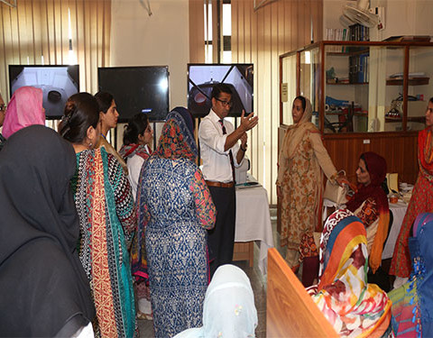 International Laparoscopy Course